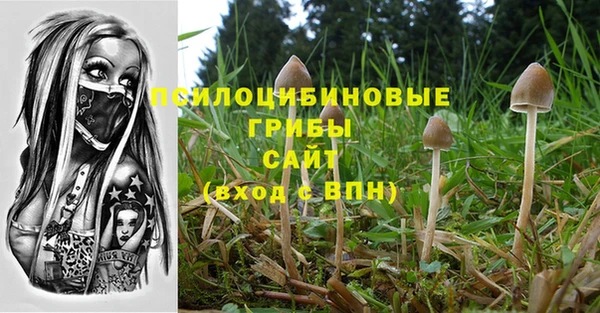 СК Вяземский