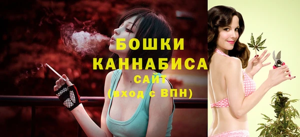 СК Вяземский